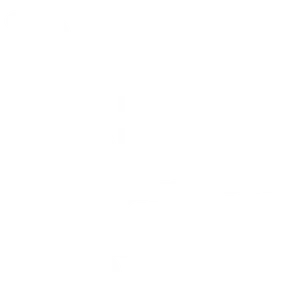 brainadvizor-shopping-cart-self-regulation-coaching-jason-potvin
